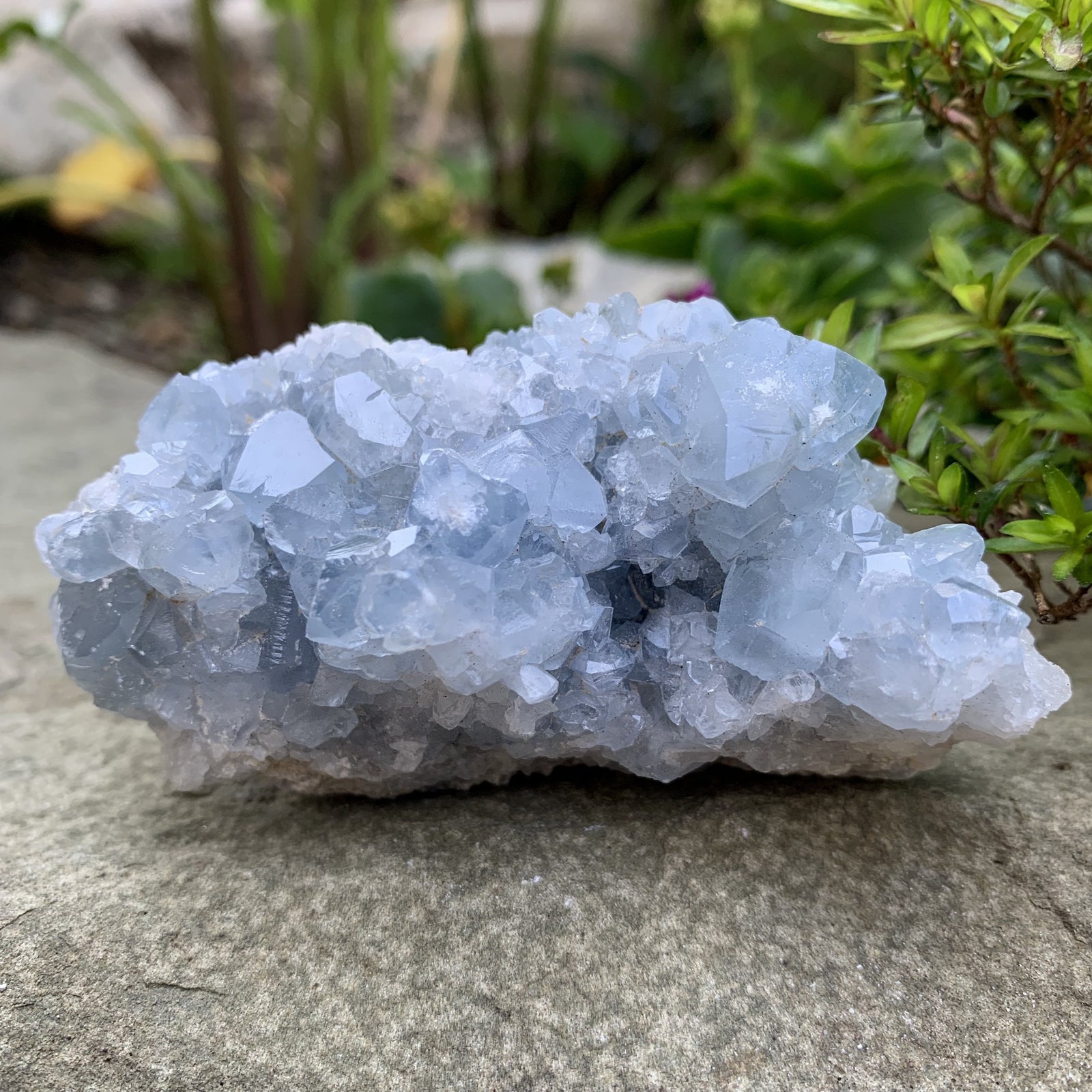 Celestine (aka Celestite) - Sparkle Rock Pop