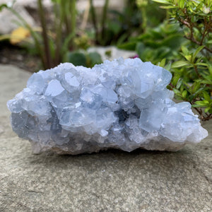 Celestine (aka Celestite) - Sparkle Rock Pop