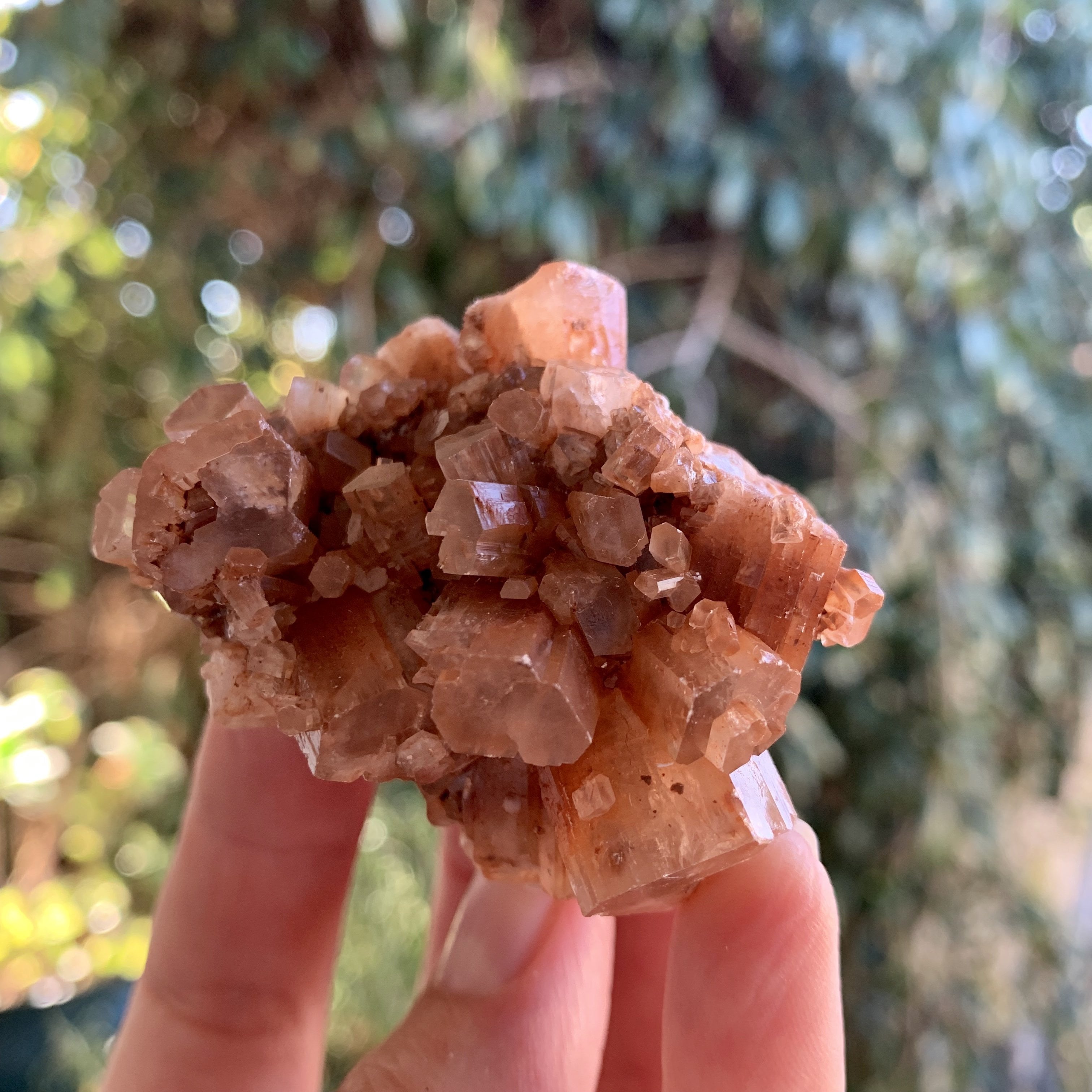 Aragonite Star Cluster - Sparkle Rock Pop