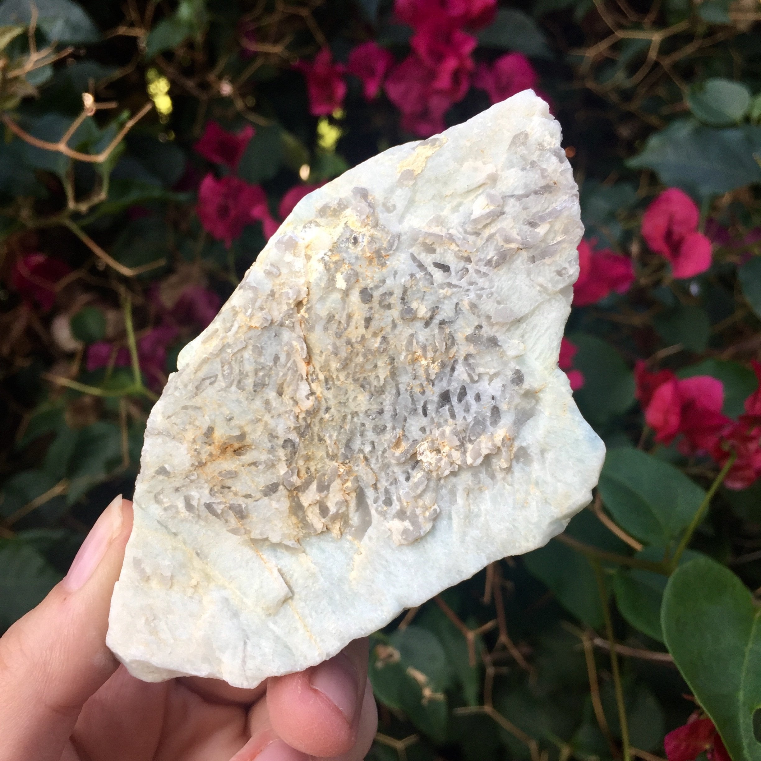 Amazonite - Sparkle Rock Pop
