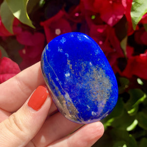 Lapis Palm Stone - Sparkle Rock Pop
