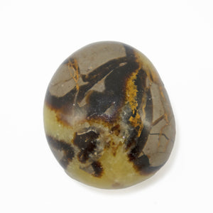 Septarian Dragon Stone - Sparkle Rock Pop