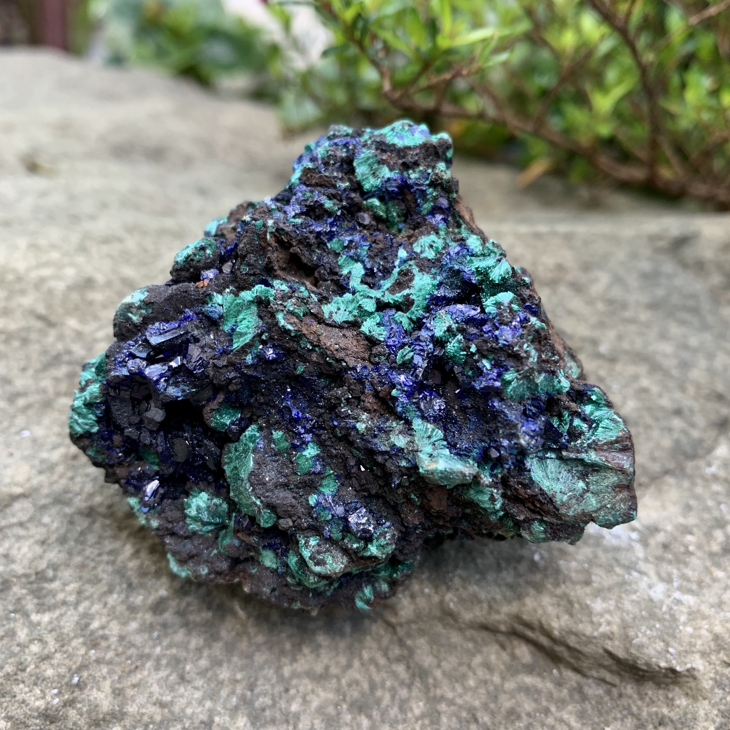 Azurite - Raw Stone Cluster - Sparkle Rock Pop