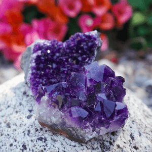 Amethyst Crystal Cluster - Sparkle Rock Pop