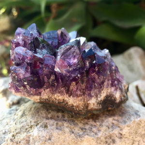 Amethyst Crystal Cluster - Sparkle Rock Pop