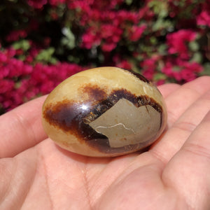 Septarian Dragon Stone - Sparkle Rock Pop