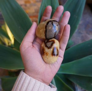 Septarian Dragon Stone - Sparkle Rock Pop