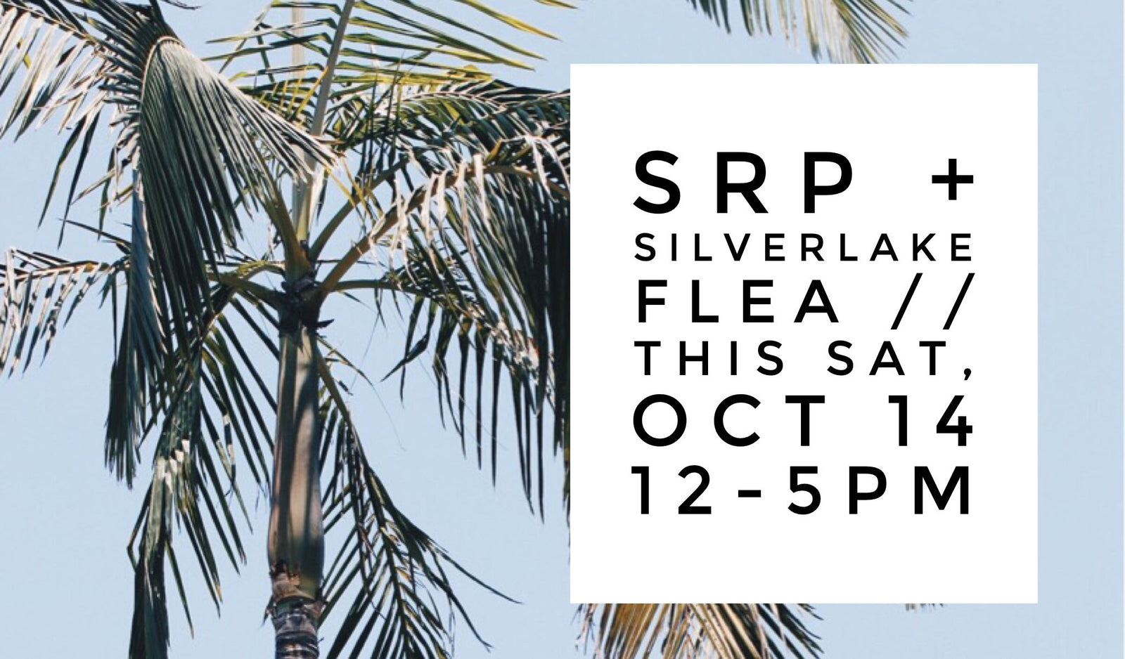 Sparkle Rock Pop at Silverlake Flea Market in Los Angeles