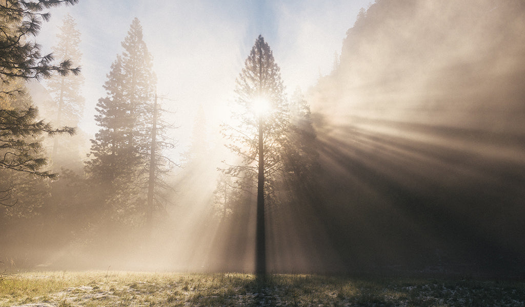 The Power of Natural Light