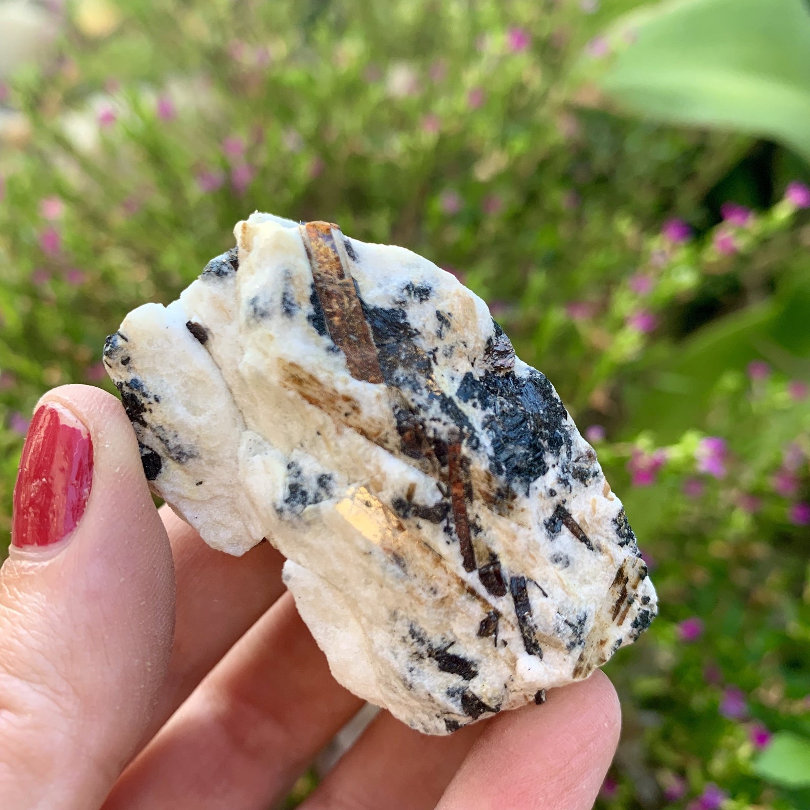 Astrophyllite 2.25" - Sparkle Rock Pop