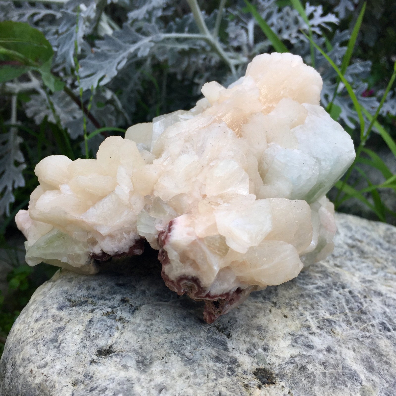 Peach Apophyllite Cluster - Sparkle Rock Pop