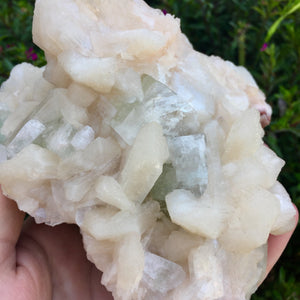 Peach Apophyllite Cluster - Sparkle Rock Pop