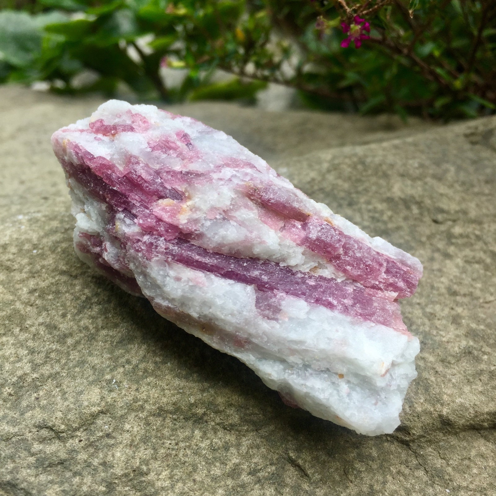 Pink Tourmaline in Quartz - Sparkle Rock Pop
